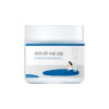 Увлажняющий крем для лица с берёзовым соком Round Lab Birch Juice Moisturizing Cream