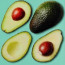 avocado-swatch
