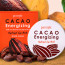 Цена Petitfee Cacao Energizing Hydrogel Eye Patch