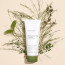 Упаковка Mary & May Houttuynia Cordata + Tea Tree Cleansing Foam