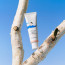 Состав Round Lab Birch Juice Moisturizing Tone-Up Sunscreen SPF50+ PA++++